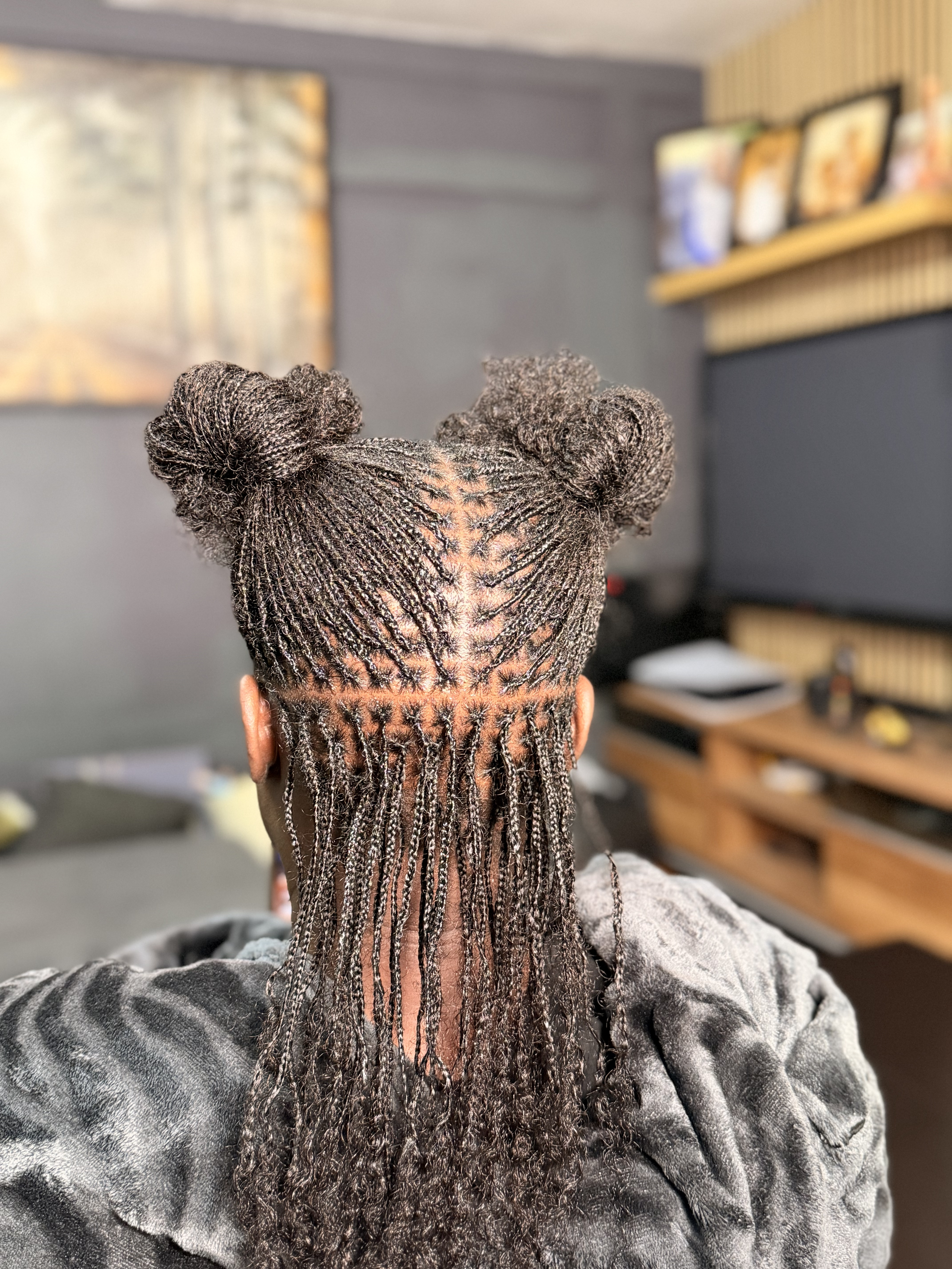 Micro Braids 3